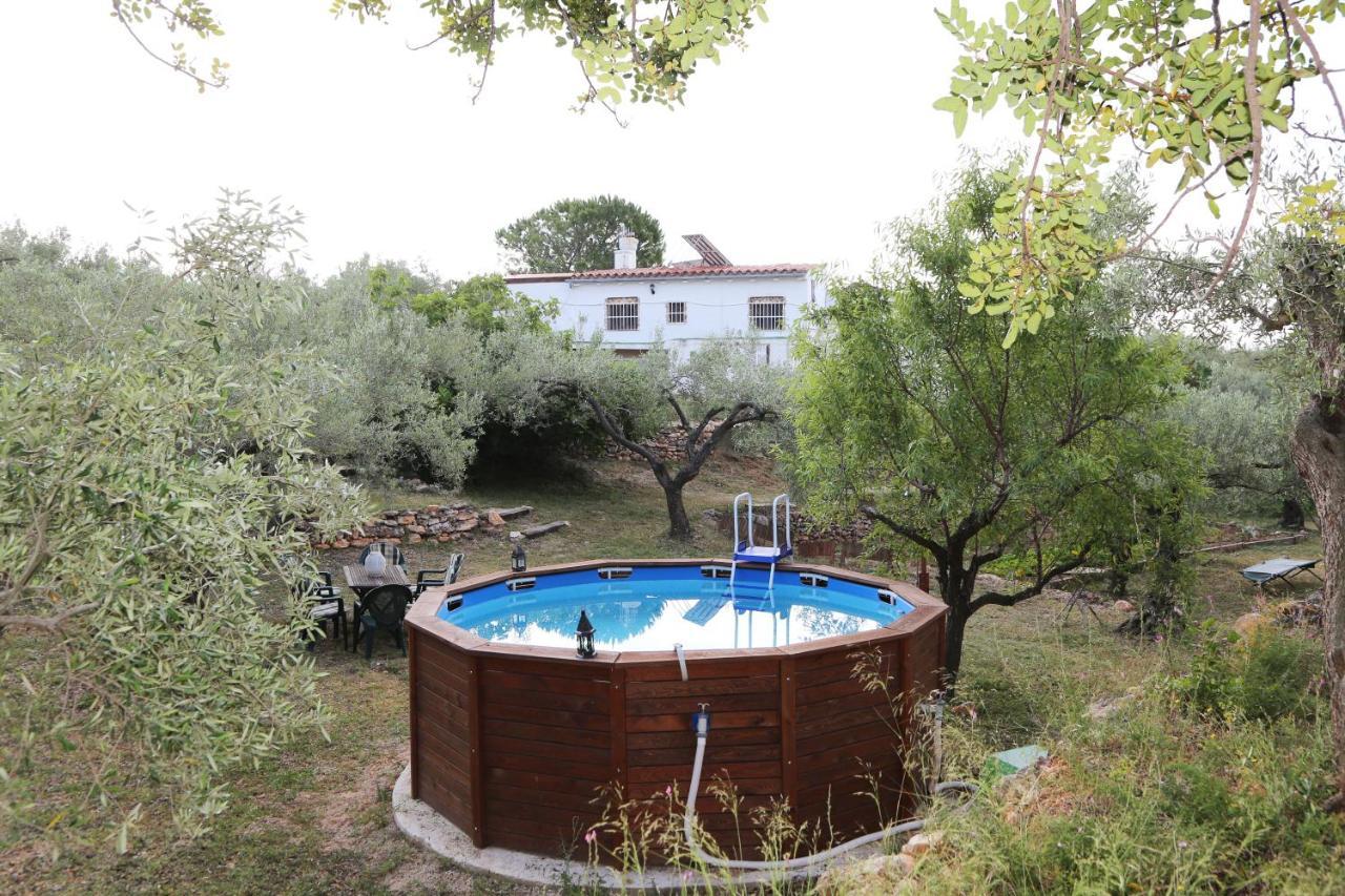 Yurta Mongola Delta Del Ebro Hotell Camarles Exteriör bild