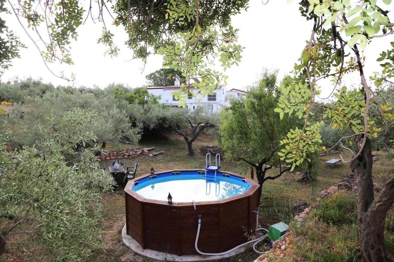 Yurta Mongola Delta Del Ebro Hotell Camarles Exteriör bild