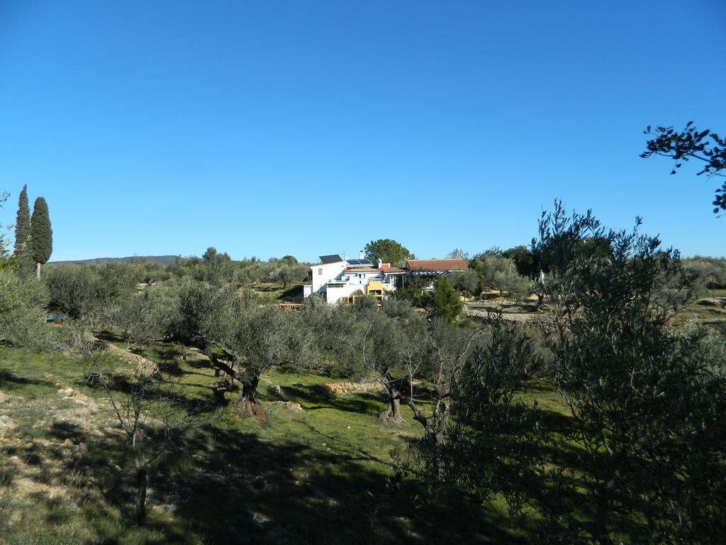 Yurta Mongola Delta Del Ebro Hotell Camarles Exteriör bild