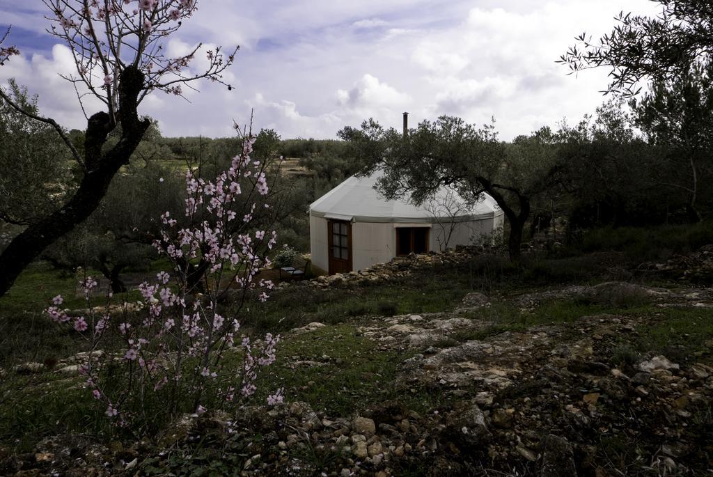Yurta Mongola Delta Del Ebro Hotell Camarles Exteriör bild