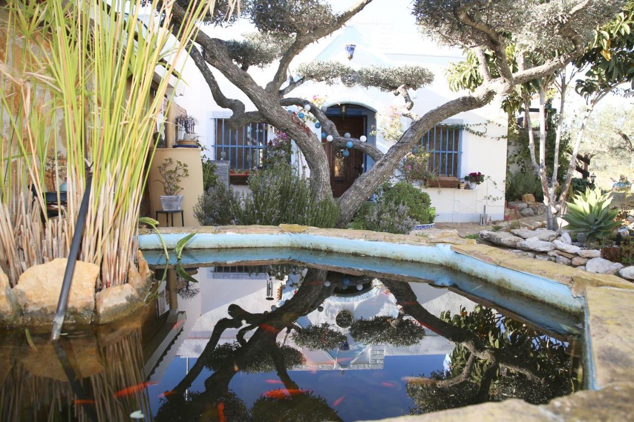 Yurta Mongola Delta Del Ebro Hotell Camarles Exteriör bild