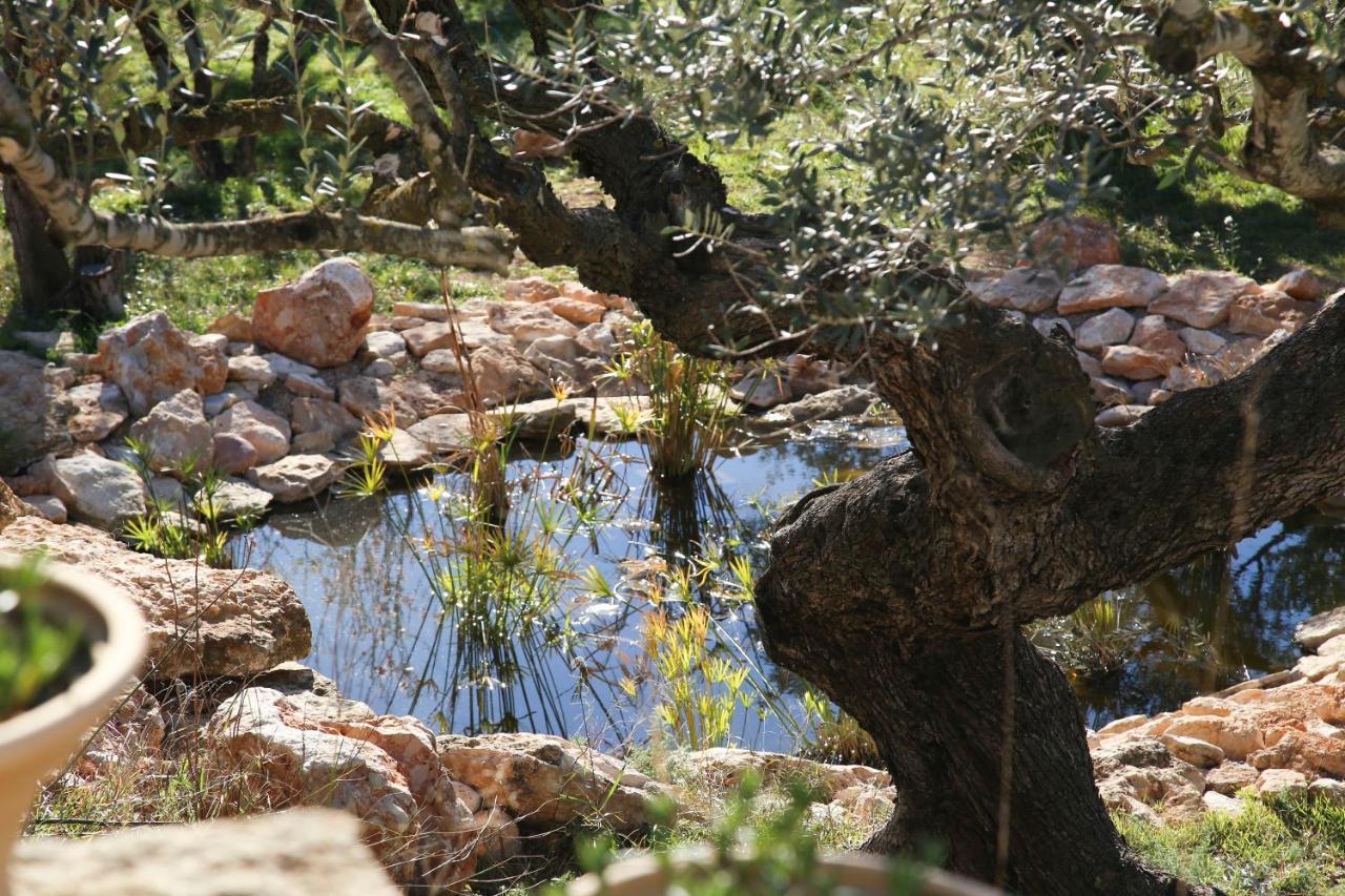 Yurta Mongola Delta Del Ebro Hotell Camarles Exteriör bild
